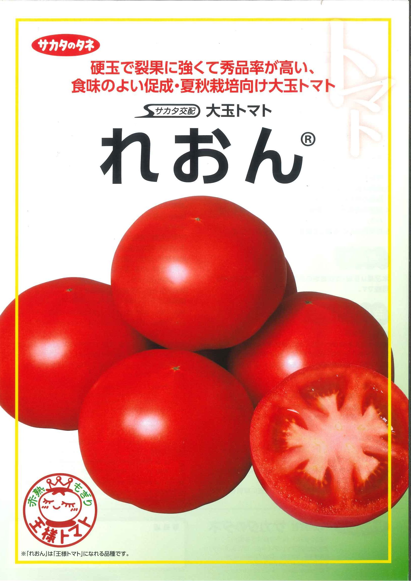 大玉トマト 　れおん 1000粒 (株)サカタのタネ [種子/野菜]