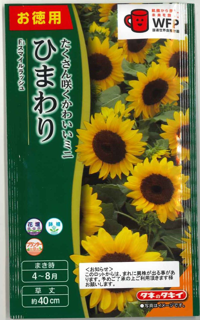 ひまわり 購入 ひまわり様 ひまわり様 Amazon.co.jp: ZXHYWYM ひまわり キャンバス