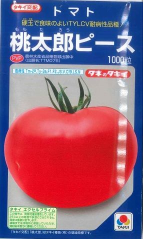 大玉トマト 桃太郎ピース 1000粒　タキイ種苗（株） [種子/野菜]