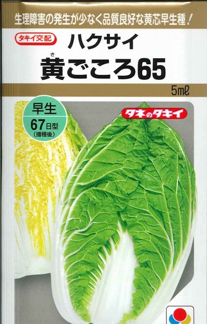 楽天市場 白菜黄ごころ65 5ｍｌ タキイ交配 グリーンロフトネモト