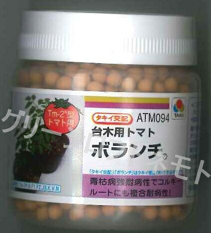 台木 (トマト用)ボランチ ２L ペレット種子 1000粒 タキイ種苗(株) [種子/野菜]｜グリーンロフトネモト