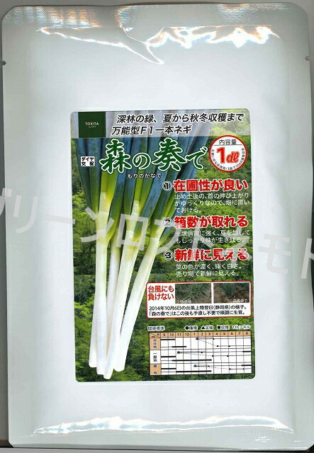 森の奏で　1000本(おまけ有り) 楽天市場】ねぎ 森の奏でペレット種子5000粒 トキタ種苗(株) [種子
