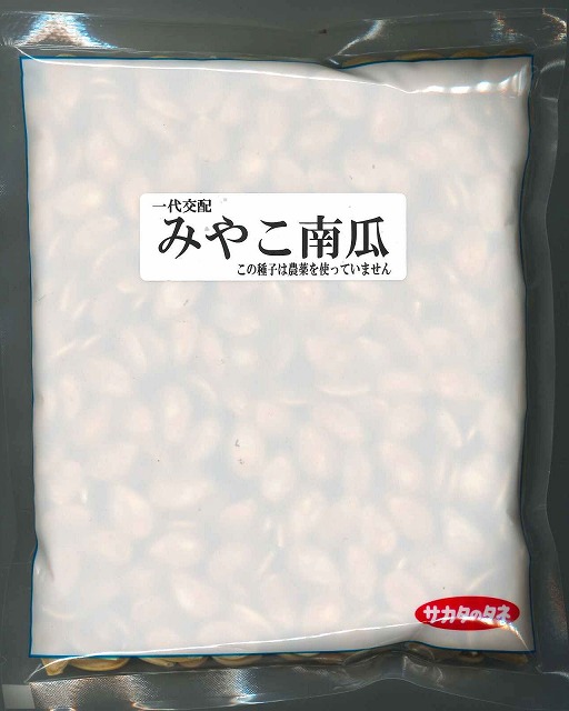 かぼちゃ みやこ 500粒 (株)サカタのタネ [内果皮/蔬菜]
