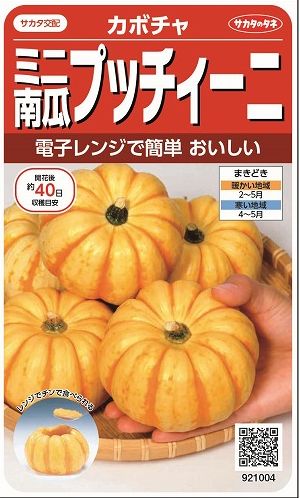 楽天市場 かぼちゃプッチーニ7粒実咲サカタ交配 グリーンロフトネモト