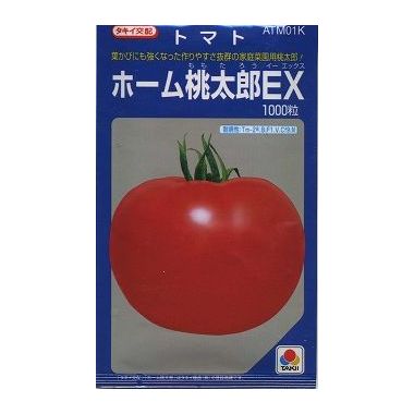 大玉赤ナス 介護ホーム桃太郎ＥＸ 1000粒 タキイ種苗(株) [内果皮/草片]