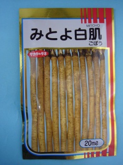牛蒡 みとよ白肌 1L サカタのタネ [種子/野菜]｜グリーンロフトネモト