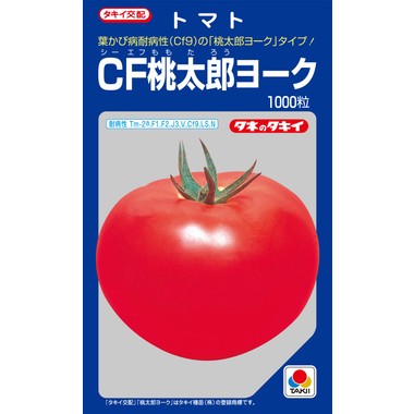 大玉赤茄子 CF桃太郎ヨーク 1000粒 タキイ種苗(株) [内果皮/蔬菜]