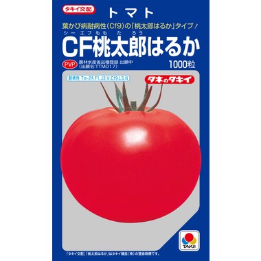 大玉赤茄子 ＣＦ桃太郎遠々しい 1000粒 タキイ種苗(株) [内果皮/蔬菜]