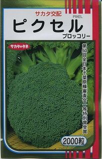楽天市場】ブロッコリー おはよう 2000粒 (株)サカタのタネ : グリーン