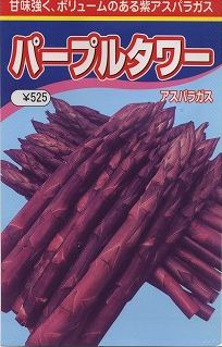 アスパラガス パープルタワー 500粒 渡辺農事(株) [種子/野菜]