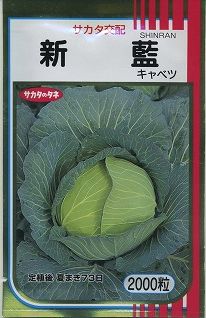 キャベツ 新藍 2000粒 (株)サカタのタネ [種子/野菜]