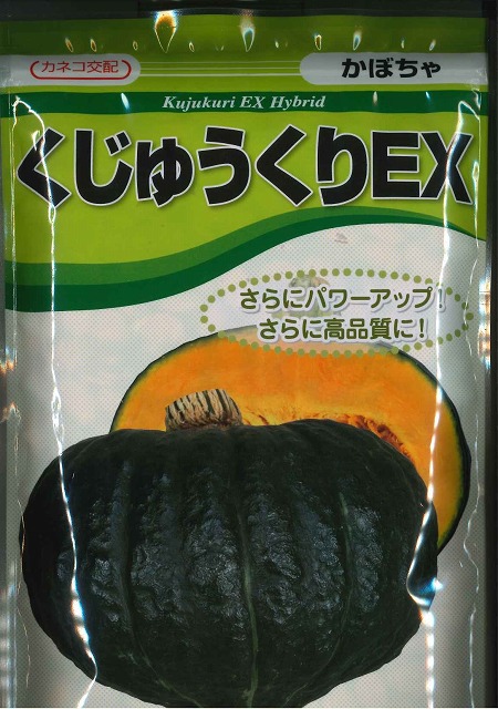 かぼちゃ くじゅうくりEX西洋カボチャ     500粒 カネコ種苗（株） [内果皮/蔬菜]