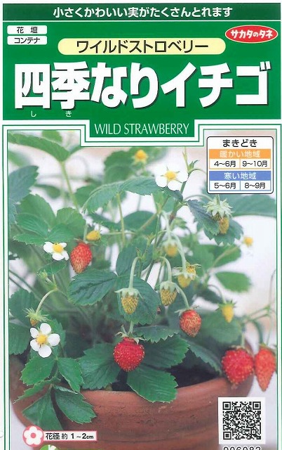 楽天市場 花の種 ワイルドストロベリー 四季なりイチゴ 小袋サカタのタネ グリーンロフトネモト