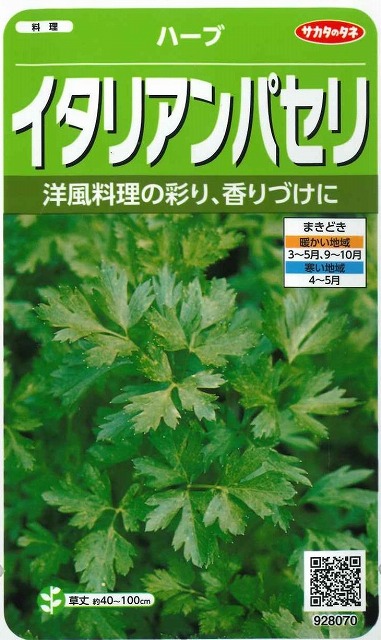 楽天市場 ハーブの種イタリアンパセリ 小袋サカタのタネ グリーンロフトネモト