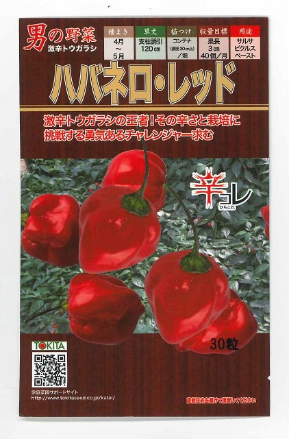 楽天市場】※新種12月以降入荷予定トウガラシ種 ハバネロ オレンジ