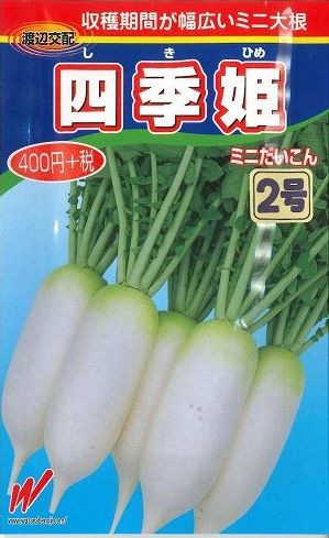 大根 四季姫２号 1万粒 渡辺農事(株) [種子/野菜]