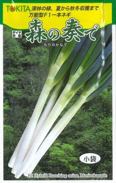 ネギ　大河の轟き　5000粒　有効期限バラバラ imgrc0065210088.jpg