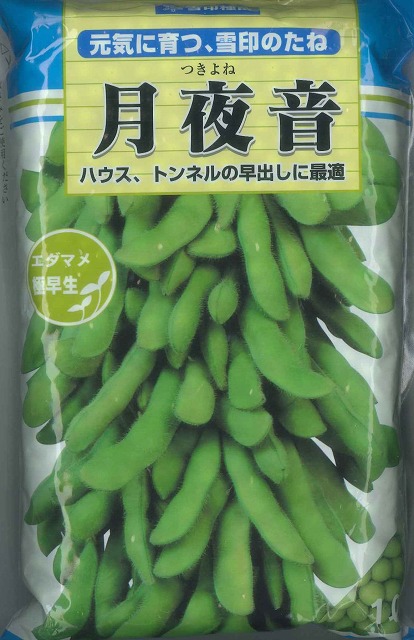 枝豆　月夜音　1Ｌ　雪印種苗