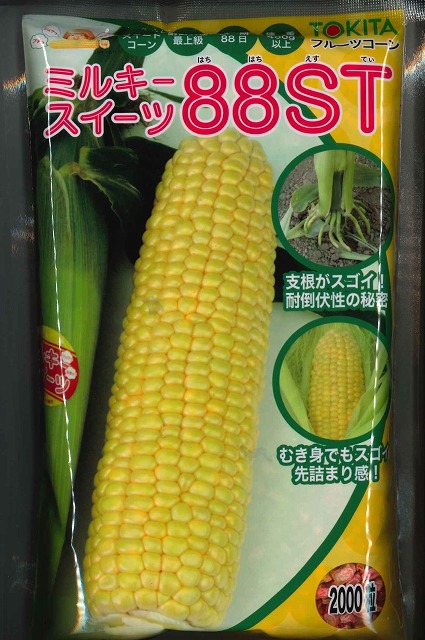 とうもろこし ミルキースイーツ88ST　2000粒 トキタ種苗(株) [種子/野菜]