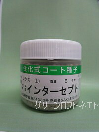 萵苣 インターセプト ペレット内果皮5000粒 (株)サカタのタネ [内果皮/蔬菜]