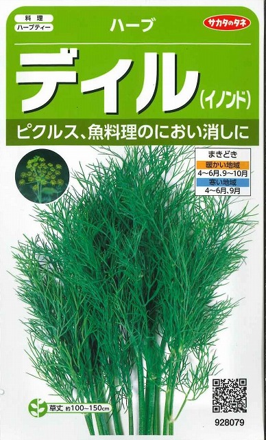 楽天市場 ハーブ 種 ディル サカタのタネ 小袋 採苗本数490本 種兵ネットショッピング