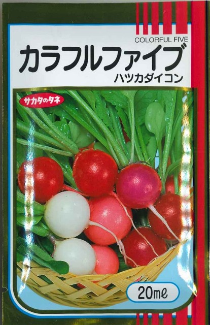 買い誠実 サカタのタネ まんまるはつか大根 レッドチャイム 7ml globescoffers.com