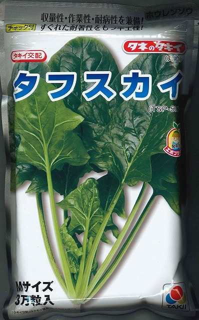 ほうれんそう タフスカイ Ｍサイズ 3万粒 タキイ種苗(株) [種子/野菜]