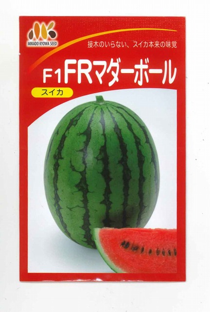 スイカ FRマダーボール 200粒 ヴィルモランみかど（株） [内果皮/蔬菜]