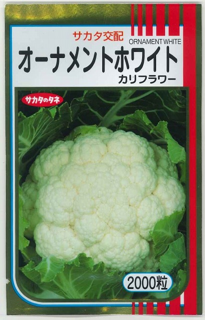楽天市場】ブロッコリー おはよう 2000粒 (株)サカタのタネ [種子/野菜