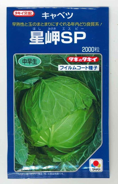 楽天市場】輝岬 ｷｬﾍﾞﾂ 種 1.3ﾐﾘ 約100粒 ﾀｷｲ交配 甘藍 てるみさき