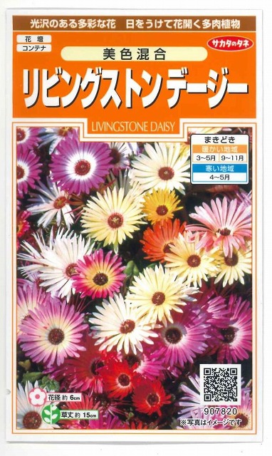 楽天市場】花の種 カンパニュラメジュームミックス 約308粒 サカタのタネ : グリーンロフトネモト