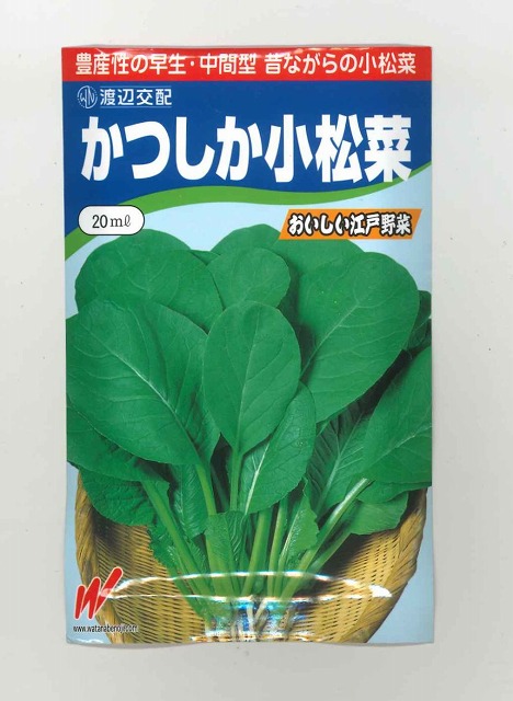 こまつな 楽天市場】小松菜 ちぢみこまつ菜 20ml(およそ4900粒) (株)渡辺採種場