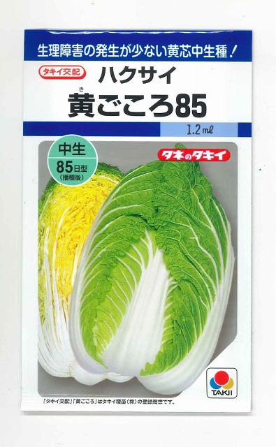 224円 流行のアイテム 野菜の種 種子 京かなで 水菜 20ml メール便発送 タキイ種苗