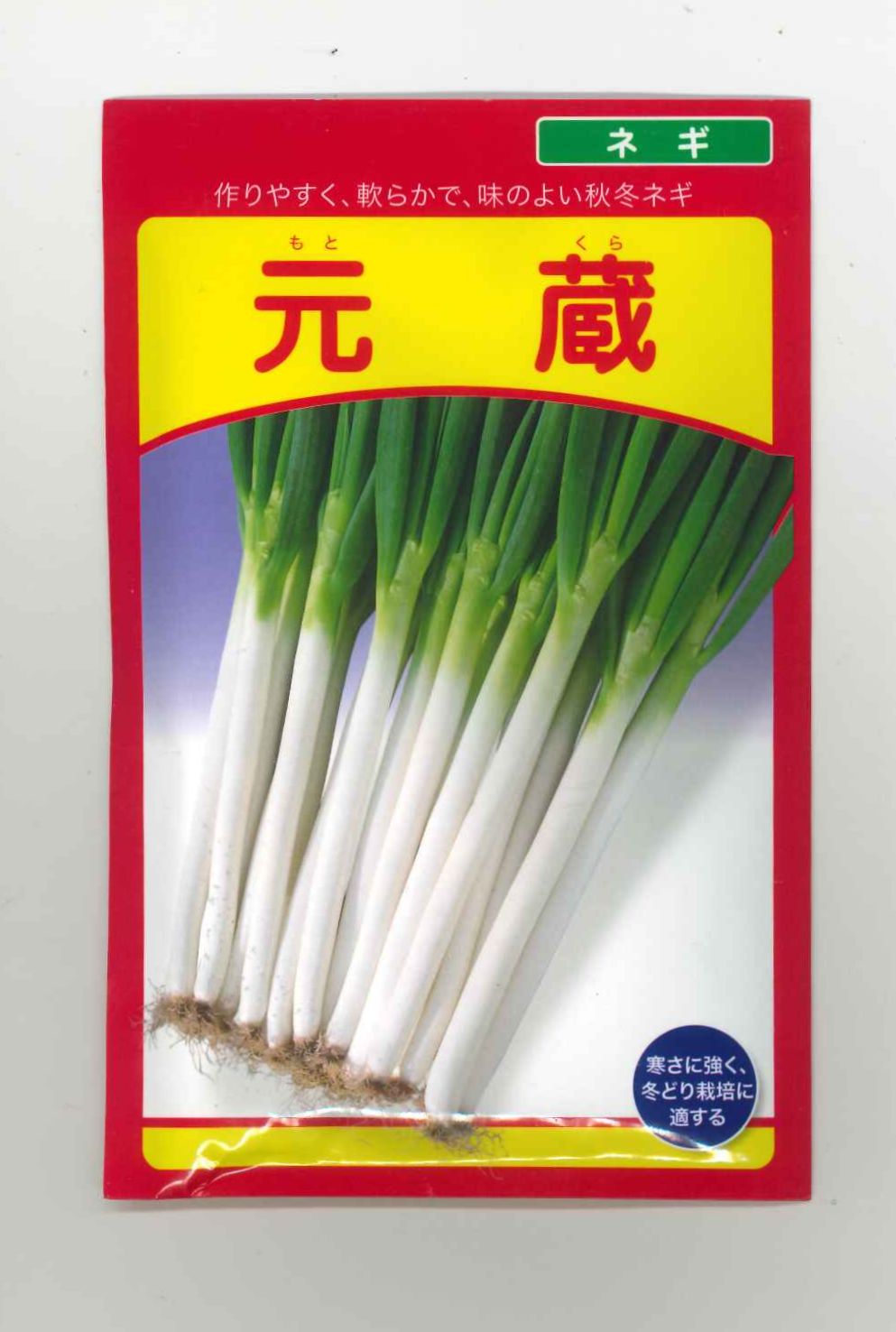 ねぎ　 楽天市場】ねぎ 羽緑一本太葱 1dl(コートしてません) (株
