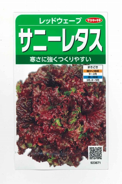 サニーレタス 国内産 サニーレタス 3枚 1パック Green Beans | グリーンビーンズ by AEON