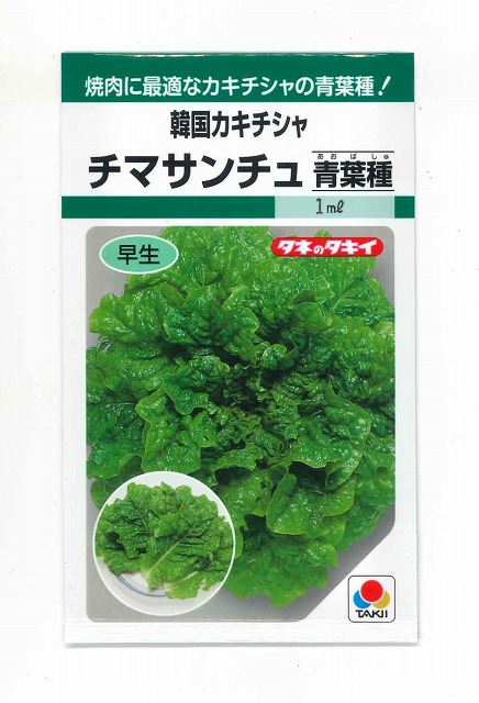 楽天市場 レタス韓国カキチシャ チマサンチュ青葉種1ml タキイ種苗 グリーンロフトネモト