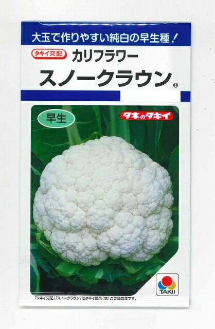 楽天市場】ブロッコリー おはよう 2000粒 (株)サカタのタネ : グリーン