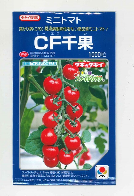 ミニ赤茄子 CF千果 1000粒 タキイ種苗(株) [内果皮/蔬菜]