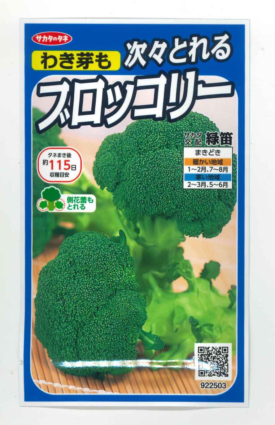 楽天市場】ブロッコリー おはよう 2000粒 (株)サカタのタネ : グリーン