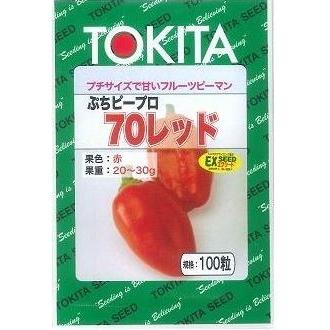 トウガラシ ぷちピープロ 赤いこと 100粒 トキタ種苗(株) [内果皮/蔬菜]