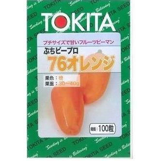 トウガラシ ぷちピープロ オレンジ色    100粒 トキタ種苗(株) [内果皮/蔬菜]