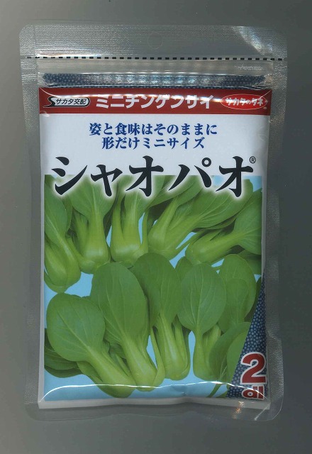 シャオパオ(ミニチンゲンサイ) 2dl (株)サカタのタネ [種子/野菜]｜グリーンロフトネモト