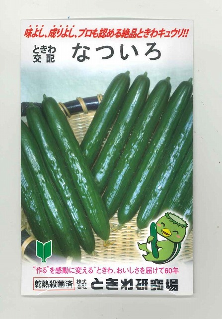 きゅうり なついろ 350粒 (株)ときわ研究場 [種子/野菜]｜グリーンロフトネモト