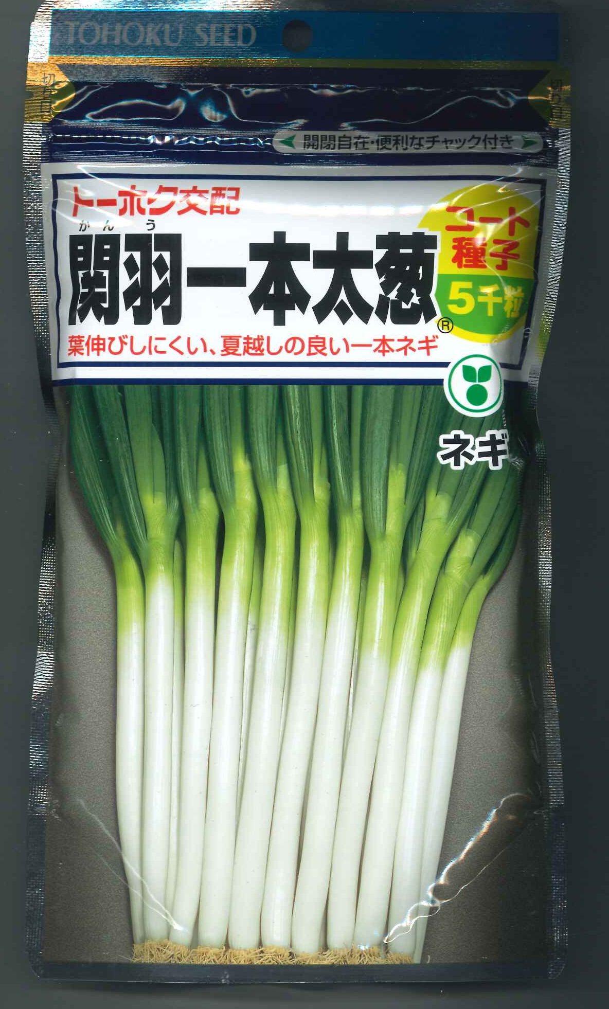 楽天市場】ネギ 関羽一本太 コート5000粒 トーホク種苗 営利用