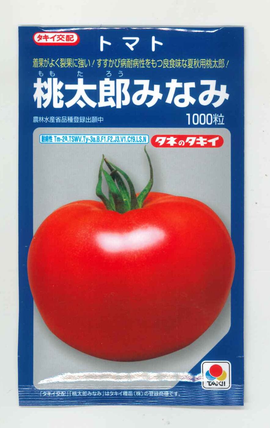 大玉トマト 桃太郎みなみ 1000粒 タキイ種苗（株） [種子/野菜]｜グリーンロフトネモト 27,947円