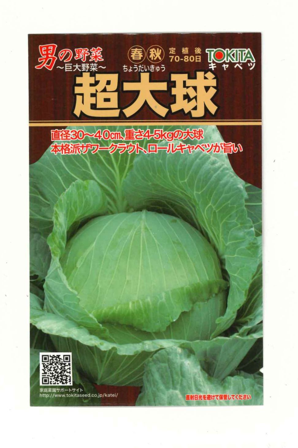 imgrc0097287980.jpg
