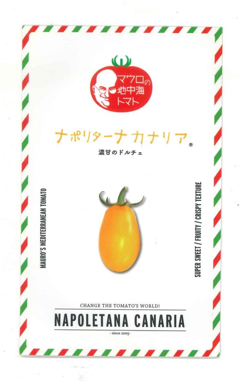 ミニ赤なす ナポリターナカナリア 100粒 サナテックシード（株） [内果皮/蔬菜]