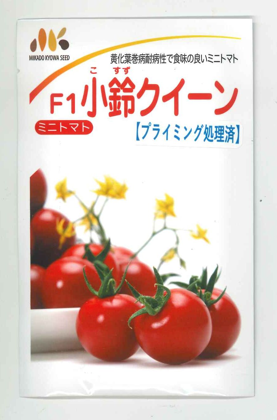 ミニ赤なす 小鈴皇后陛下 1000粒 ヴィルモランみかど（株） [内果皮/蔬菜]