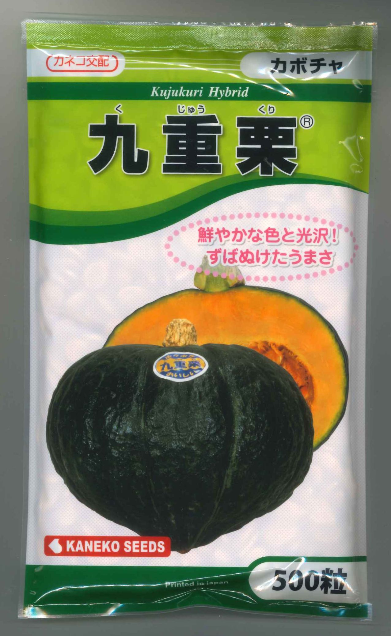 かぼちゃ 九重栗 500粒 カネコ種苗（株） [内果皮/草片]