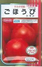 大玉赤茄子 ごほうび 1000粒 (株)サカタのタネ  [内果皮/蔬菜]